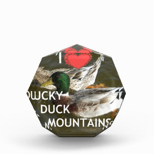 Ducky duck mountains. award