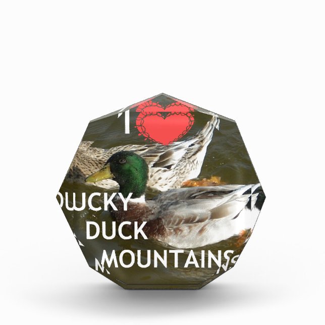 Ducky duck mountains. award (Front)