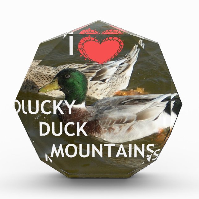 Ducky duck mountains. award (Front)