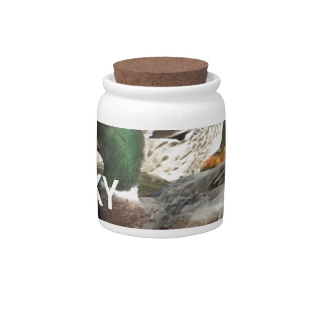 Ducky duck mountains. candy jar (Front)