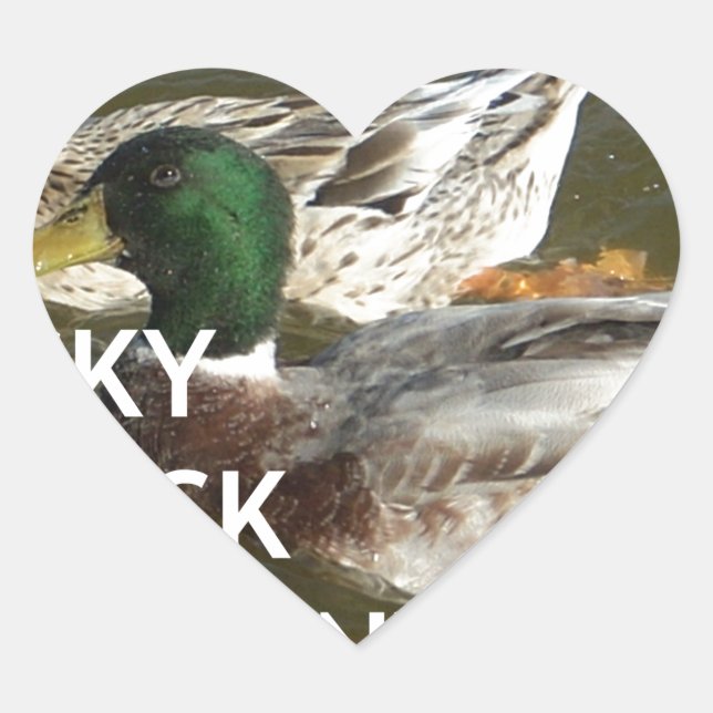 Ducky duck mountains. heart sticker (Front)