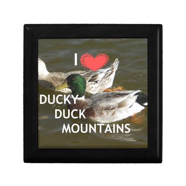 Ducky duck mountains. jewelry box (Front)
