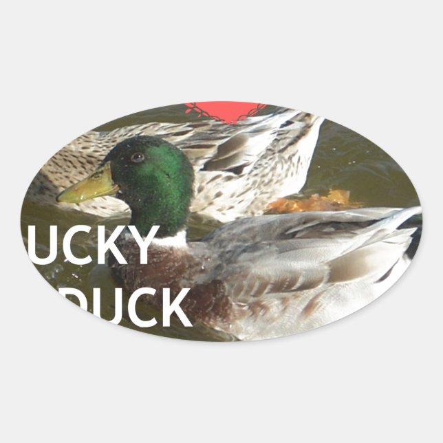 Ducky duck mountains. oval sticker (Front)