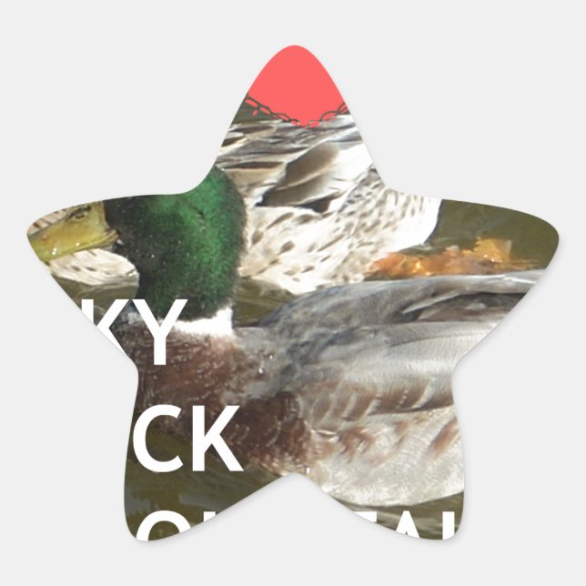 Ducky duck mountains. star sticker (Front)