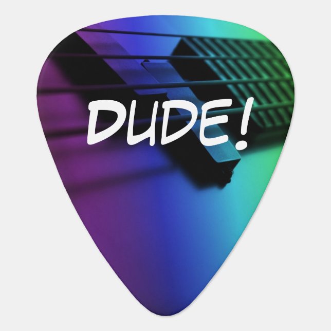 Dude! Seriously? Rainbow Electric Guitar Pick (Front)