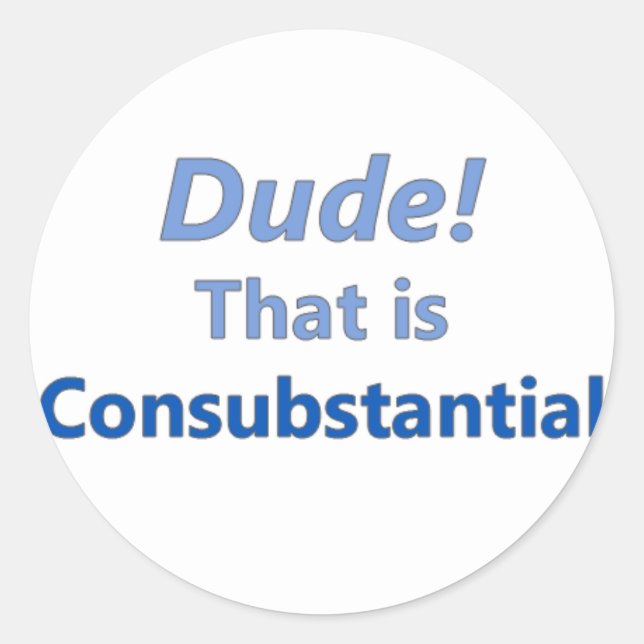 Dude! That is consubstantial Classic Round Sticker (Front)