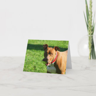 Dudley 2 Note Card