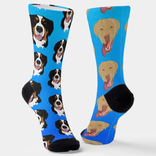 Dudley Labrador and Bernese Mountain Dog Socks