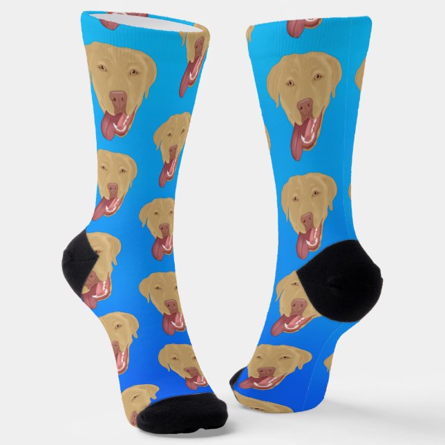 Dudley Labrador Socks (Angled)