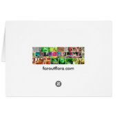 Dudleya Card (Back Horizontal)