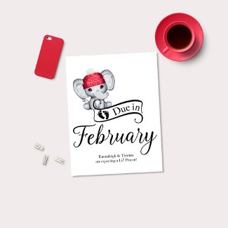 Due in February Little Peanut Baby Elephant