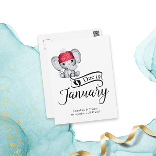 Due in January Little Peanut Baby Elephant Postcard