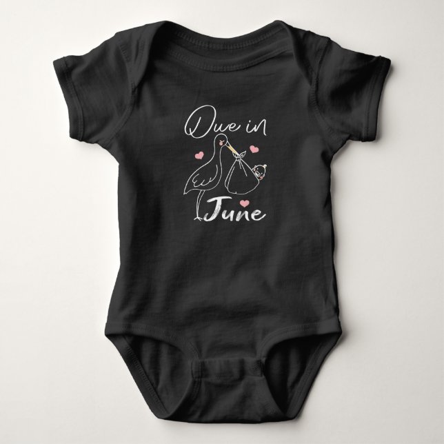 Due In June Funny Swan Carrying A Cute New Baby Bodysuit (Front)