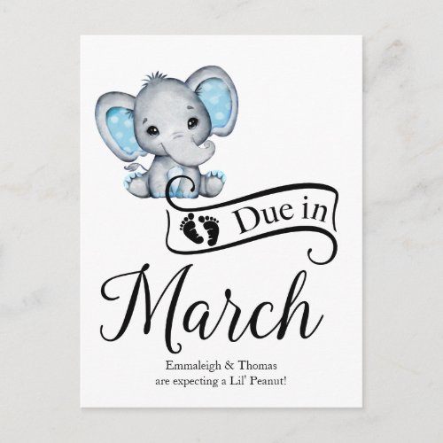 Due in March Little Peanut Baby Boy Elephant Postcard