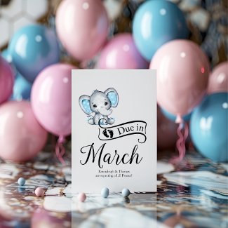 Due in March Little Peanut Baby Boy Elephant