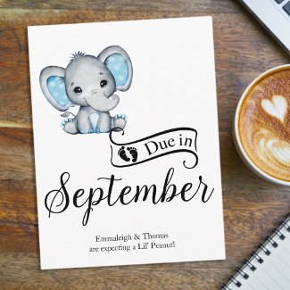 Due in September Little Peanut Baby Boy Elephant