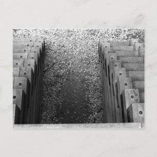 Dueling Staircase Postcard