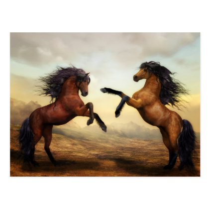 Dueling Stallions Painting Postcard