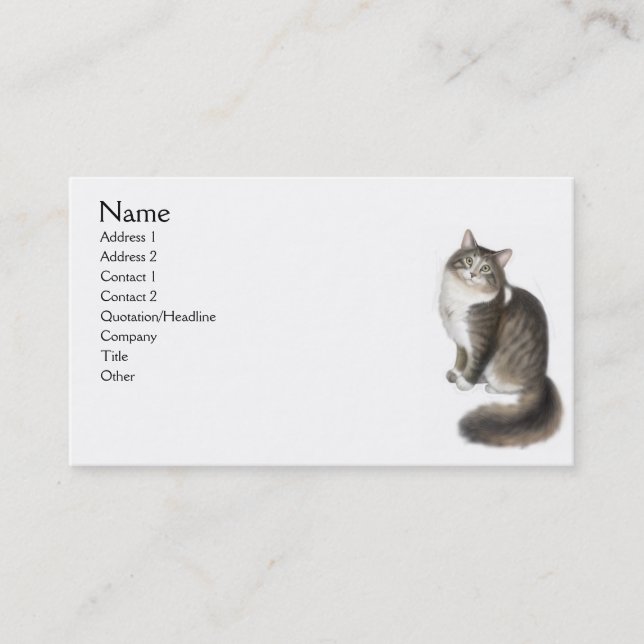 Duffy the Maine Coon Cat Business Card (Front)