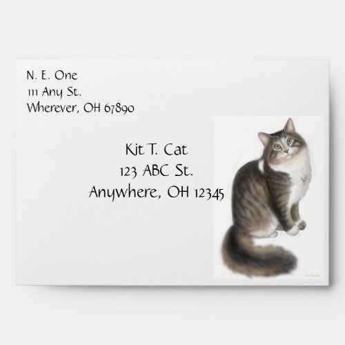 Duffy the Maine Coon Cat Envelope