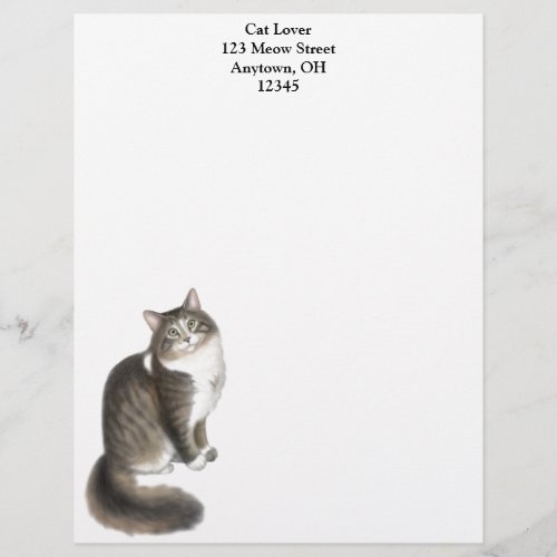 Duffy the Maine Coon Cat Letterhead