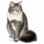 Duffy the Maine Coon Cat Ornament<br><div class="desc">Original fine art design of a Maine Coon cat named Duffy who is owned by the parents of artist Carolyn McFann,  on a quality holiday ornament for feline fans. 
 
 See a few of our products below (click to go to that product) and visit our very artistic stores at:</div>