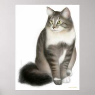 Duffy the Maine Coon Cat Print
