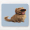 Dug the Dog from Disney Pixar UP - smiling