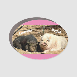 Dugan and Esmerelda the loving couple Car Magnet