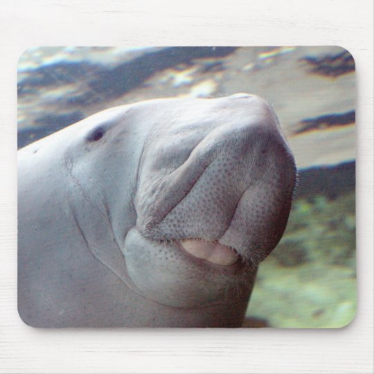 Dugong Smile Mouse Pad