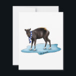 Duiker - holiday card<br><div class="desc">A great holiday card featuring a yellow-backed duiker! Make your holidays WILD this year by sending your friends and family a wildlife themed card.</div>