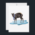 Duiker - holiday card<br><div class="desc">A great holiday card featuring a yellow-backed duiker! Make your holidays WILD this year by sending your friends and family a wildlife themed card.</div>