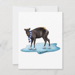 Duiker - holiday card