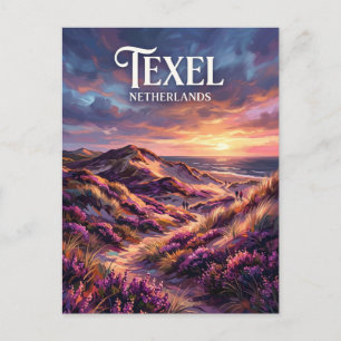 Duinen van Texel National Park Netherlands Postcard