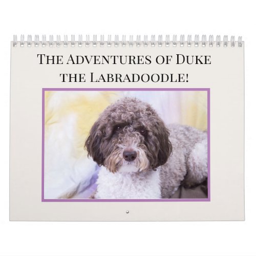 Duke The Labradoodle Calendar