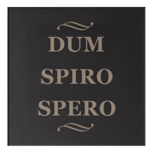 Dum spiro spero acrylic print