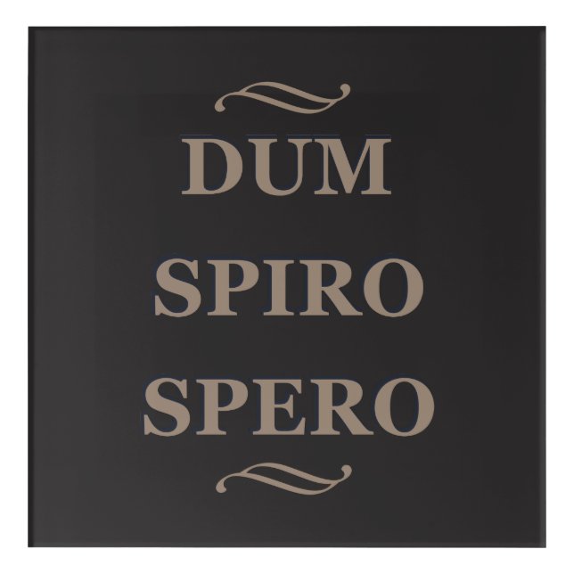 Dum spiro spero acrylic print (Front)