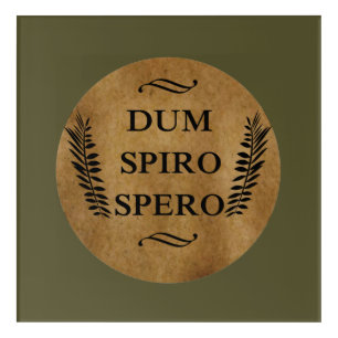 Dum spiro spero acrylic print