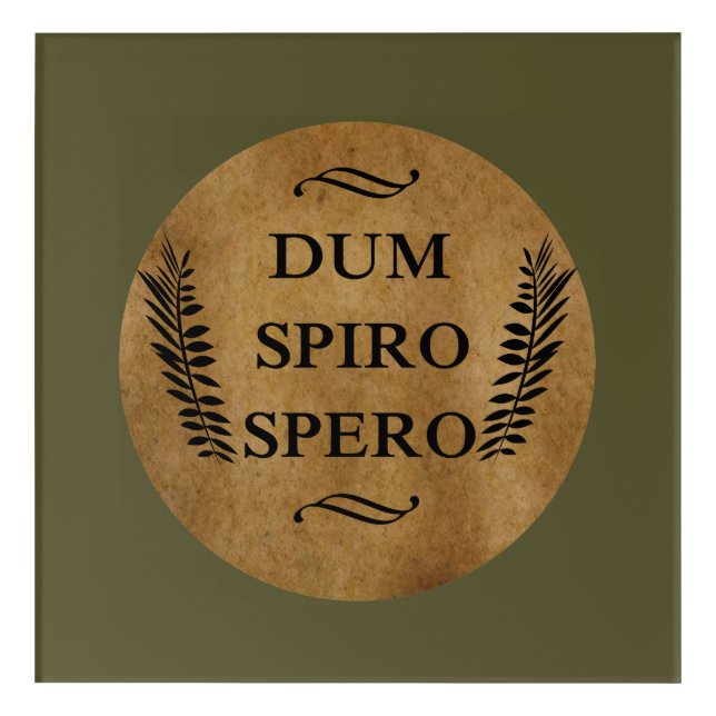 Dum spiro spero acrylic print (Front)