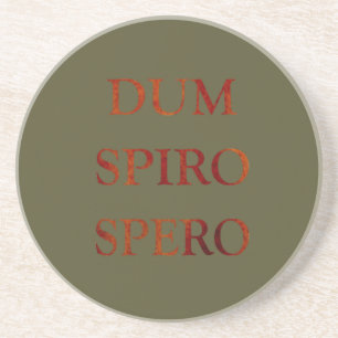 Dum spiro spero coaster