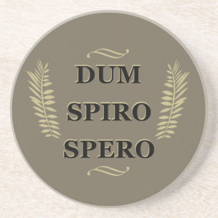 Dum spiro spero coaster
