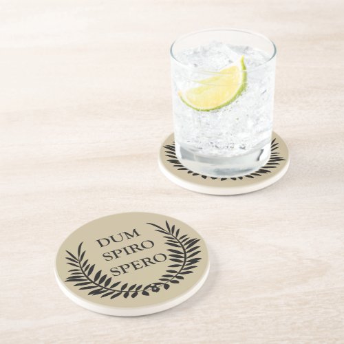 Dum spiro spero coaster