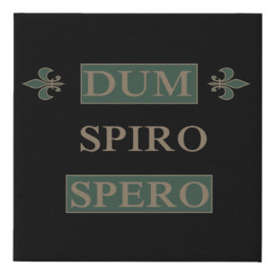 Dum spiro spero faux canvas print