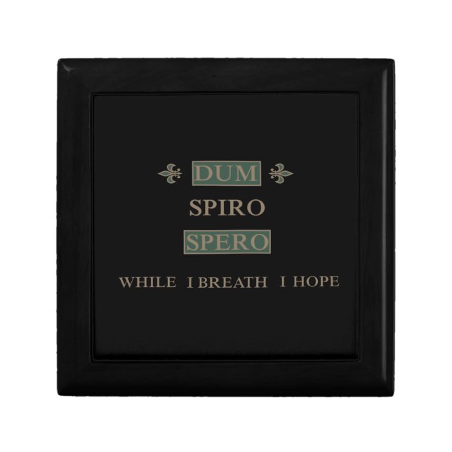 Dum spiro spero gift box (Front)