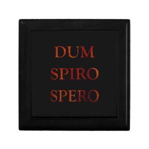 Dum spiro spero gift box