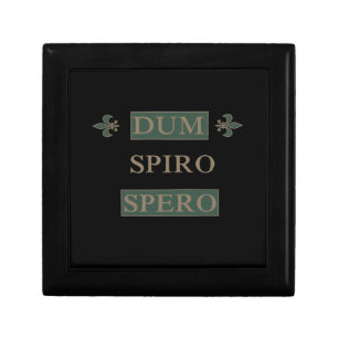 Dum spiro spero gift box