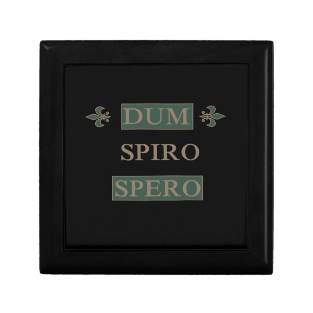 Dum spiro spero gift box (Front)