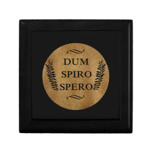 Dum spiro spero gift box