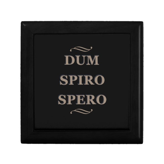 Dum spiro spero gift box (Front)