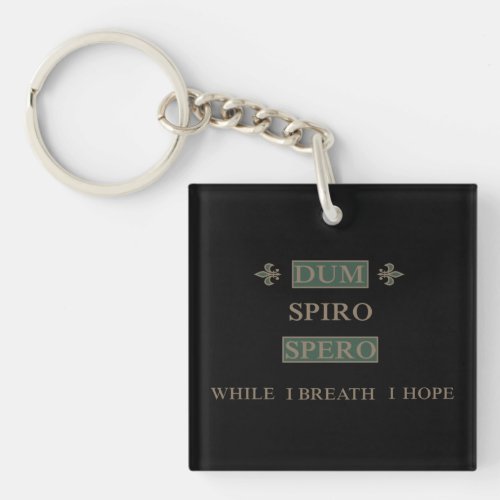 Dum spiro spero keychain